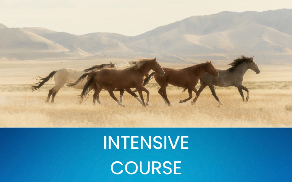 หลักสูตรเร่งรัด (Intensive Course)